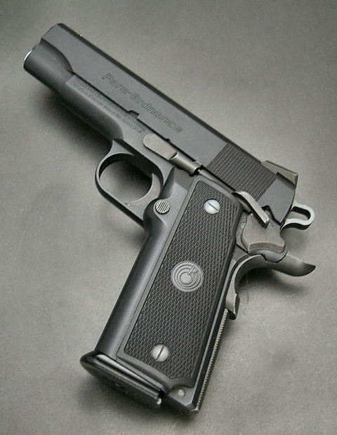 ≡偏向的トイガンカタログ≡:WA PARA-ORDNANCE P14・45 COMBAT CARRY