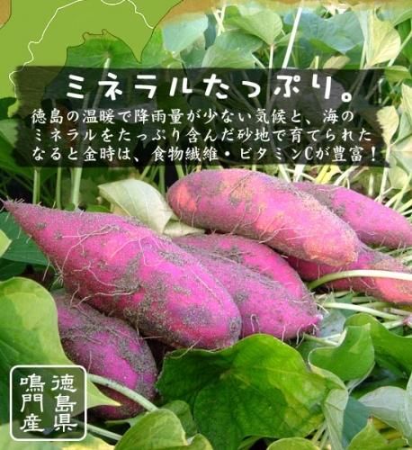 送料無料 なると金時 トップブランド 里むすめ5kg 秀品 箱入 徳島県
