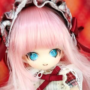 作家様カスタムドール - DOLLCE