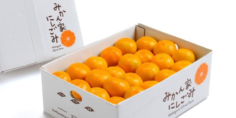 高知県産「温州みかん」A級品 - みかん家にしごみ