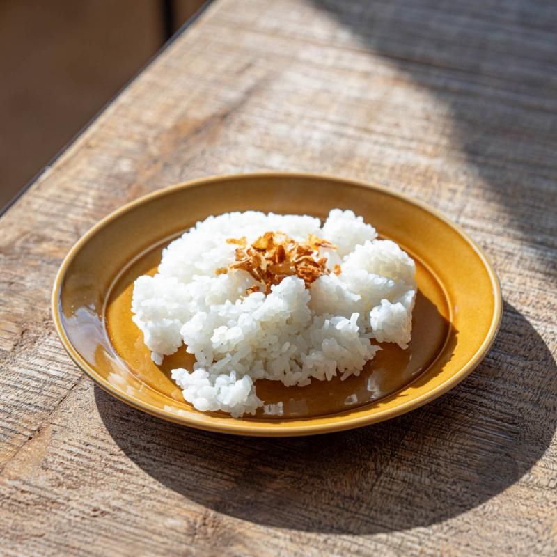 深山(miyama.) スープのカレー皿 ライス皿 ブラウン(プルー21cmサラダ