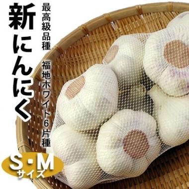 新にんにく・生にんにく】 青森産福地ホワイト6片
