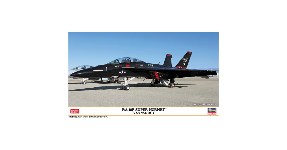 3月に突如現れた“黒い戦闘機”F/A-18Fスーパー ホーネット「Vandy 1」の