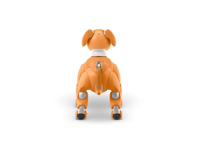 ソニー、aibo（アイボ）の2020年限定カラーモデル「キャラメル