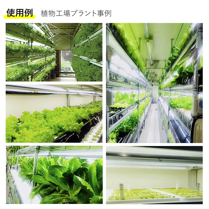植物育成ライト LED GG 新型おやさい ライト 1200mm 【1-4本専用