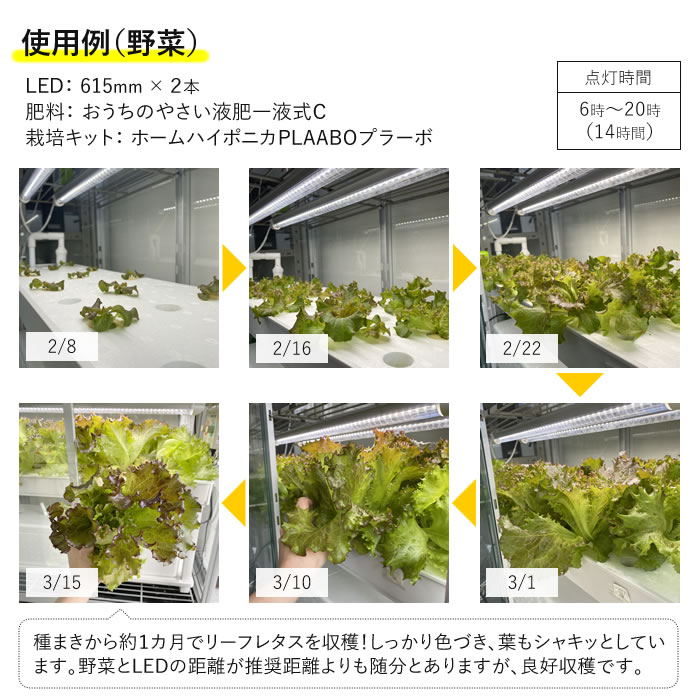 植物育成ライト LED GG 新型おやさい ライト 615mm 【1-4本専用】 - 水