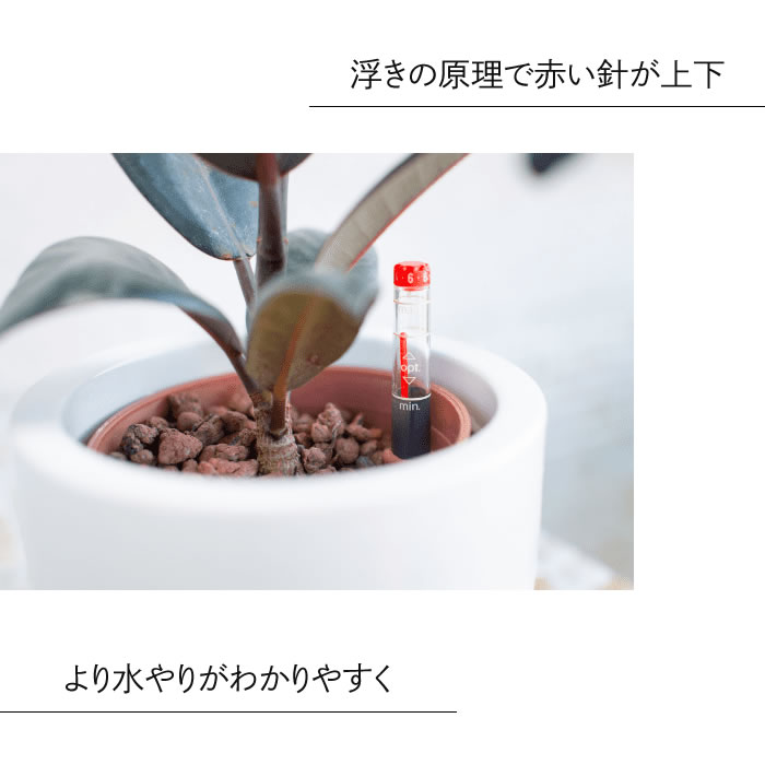 水耕栽培 ハイドロカルチャー 水位計 浮き 9cm - 水耕栽培専門店エコゲリラ