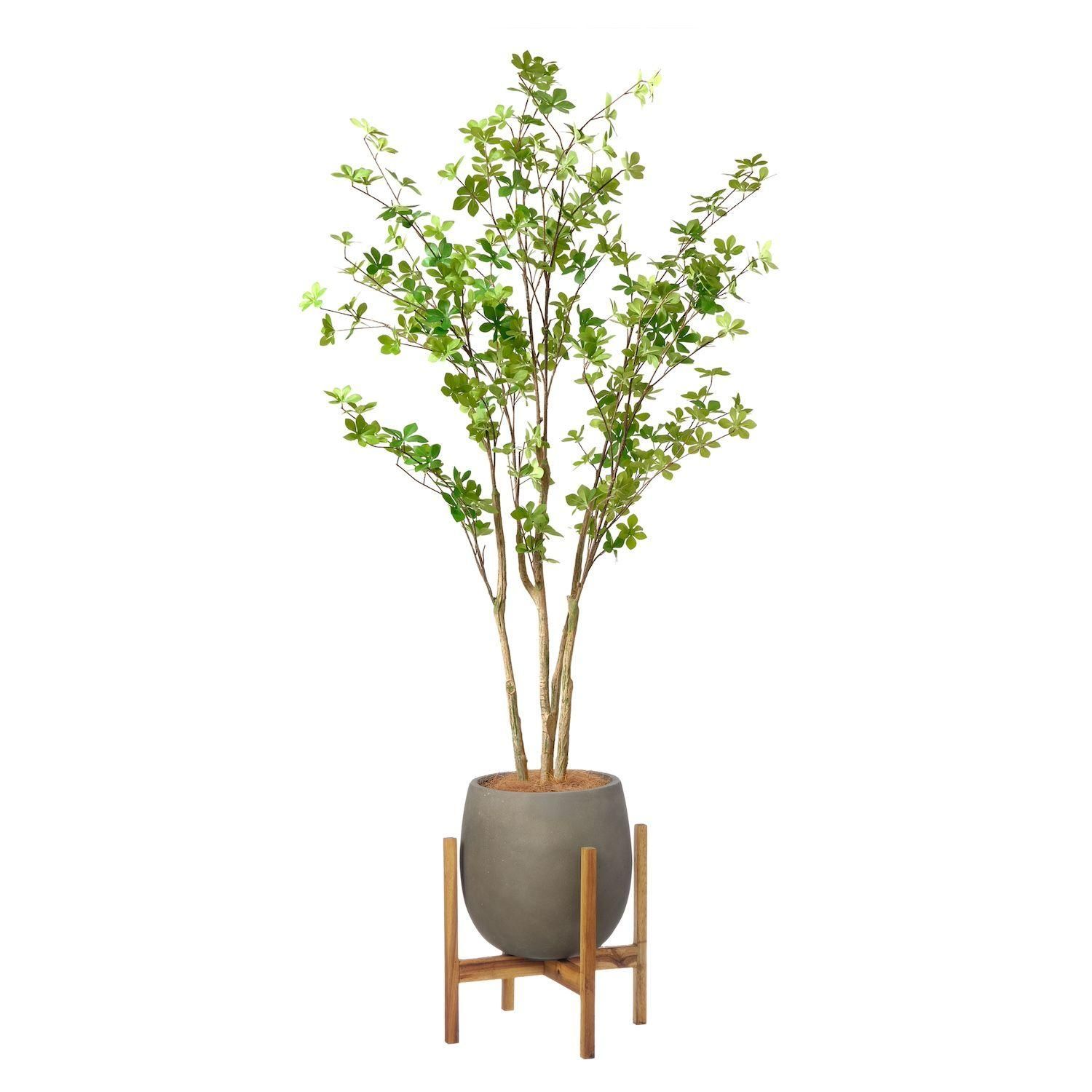 ドウダンツツジの観葉植物 フェイクグリーン | 造花専門店プリマ