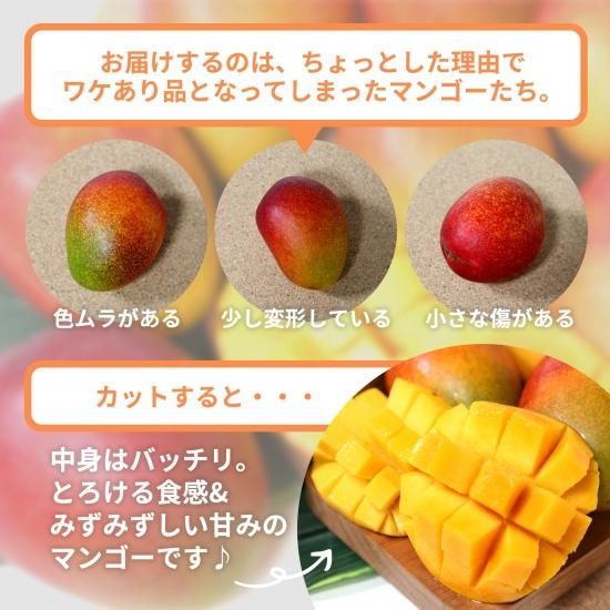 ☆送料無料☆種子島のやまうら農園 完熟マンゴー【約3.5kg】☆ワケあり