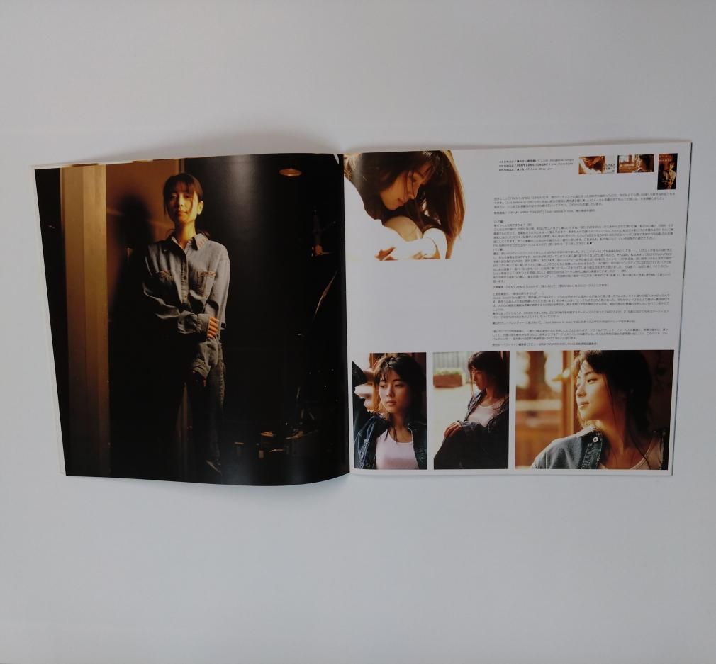 ZARD 写真集 ARTIST FILE CD購入特典 - ロックオンキング