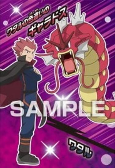 ワタル＆ワタルの色違いのギャラドス】ポケットモンスター ポケモン
