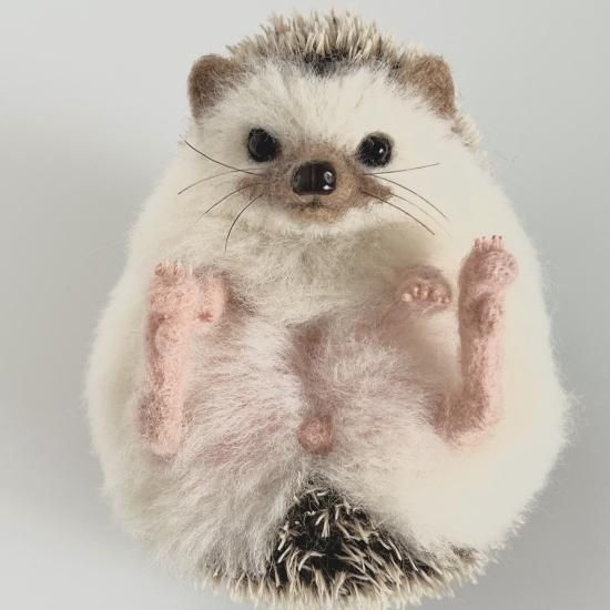 リアルハリネズミ