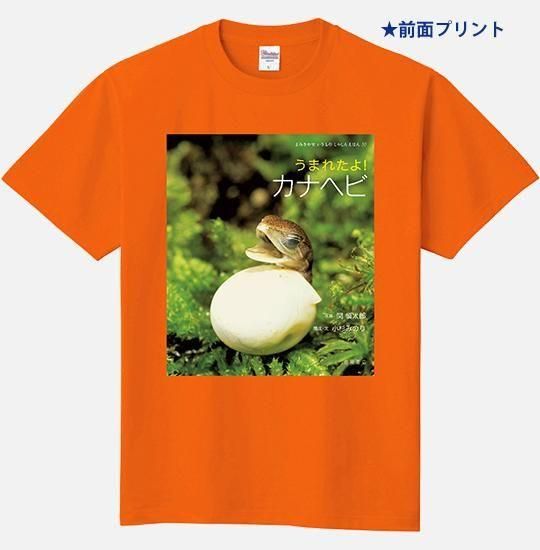 滝平二郎コレクション
