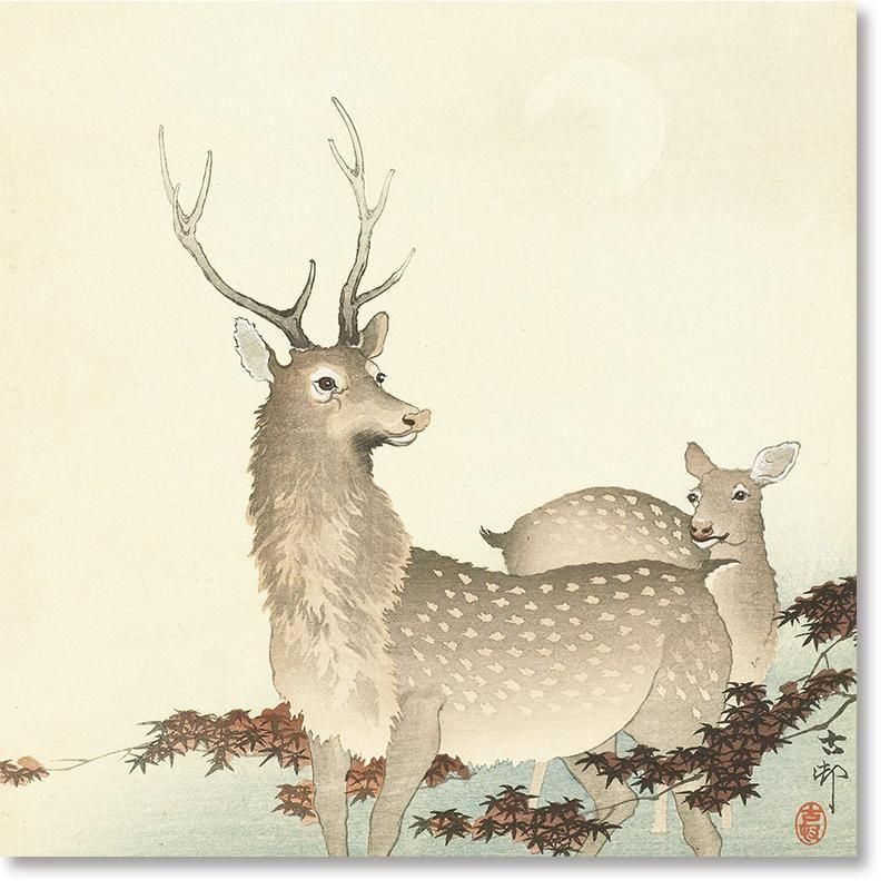 月下の鹿 | 小原古邨 - ROSSO GRAFICO