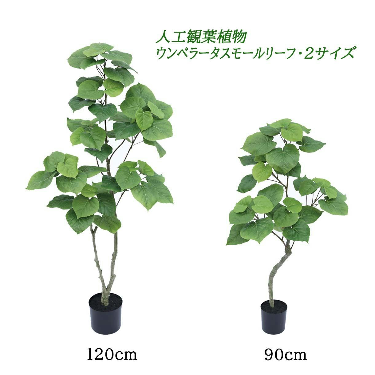 GREEN COFFRET ウンベラータスモールリーフ90cm 人工観葉植物 フェイク