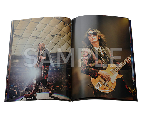 20th Anniversary Final GLAY in TOKYO DOME 2015 Miracle Music Hunt