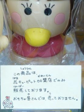 はなかっぱ鉢 ももかっぱちゃん鉢 | 花屋ブログ | 山形県上山市の花屋