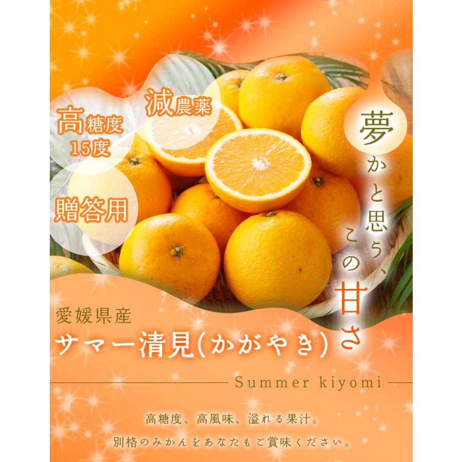 2026年3月分予約 糖度15度 愛媛産 減農薬 かがやき 贈答用 約5kg