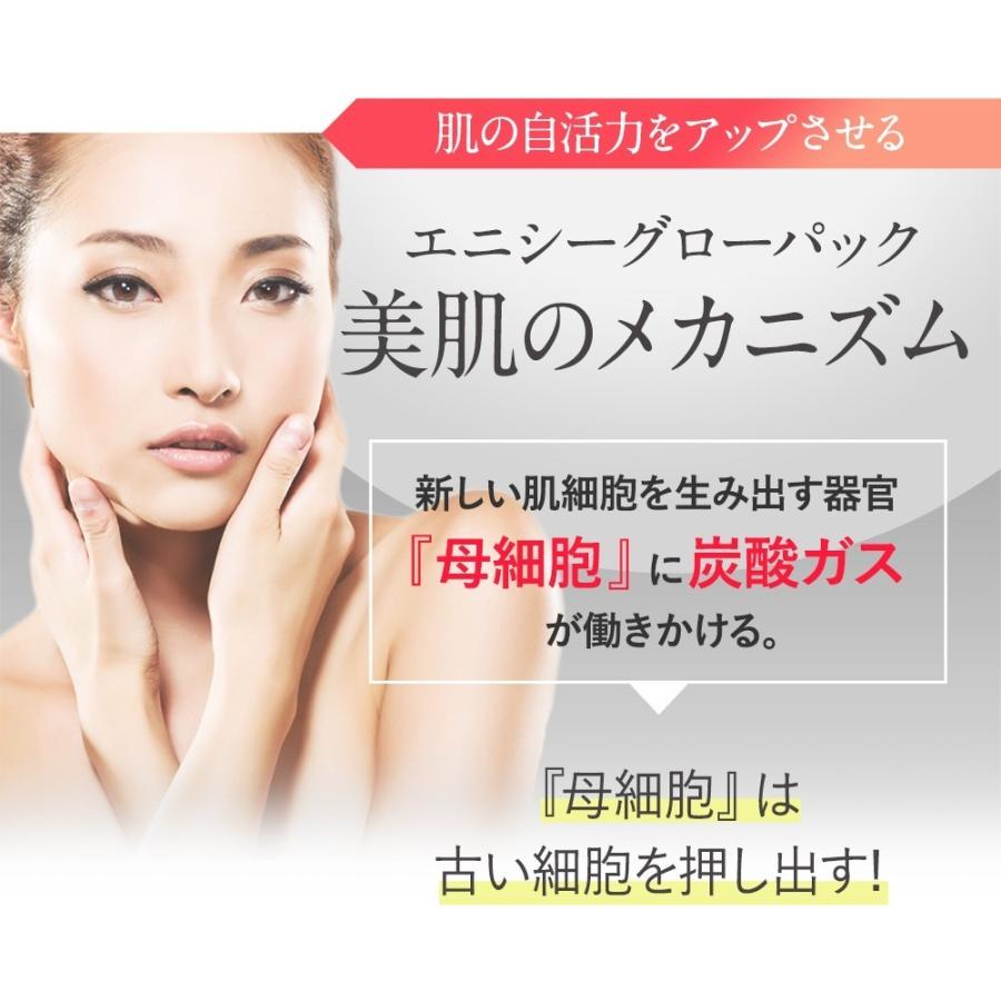 エニシー グローパック 10回分 2個セット 【リニューアル前商品】 送料
