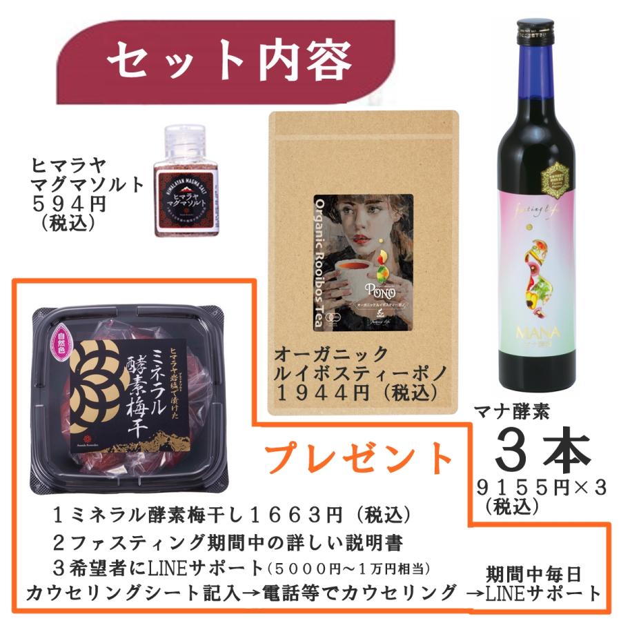 ファスティング 5日間 マナ酵素 3本 セット お歳暮 MANA 酵素ドリンク