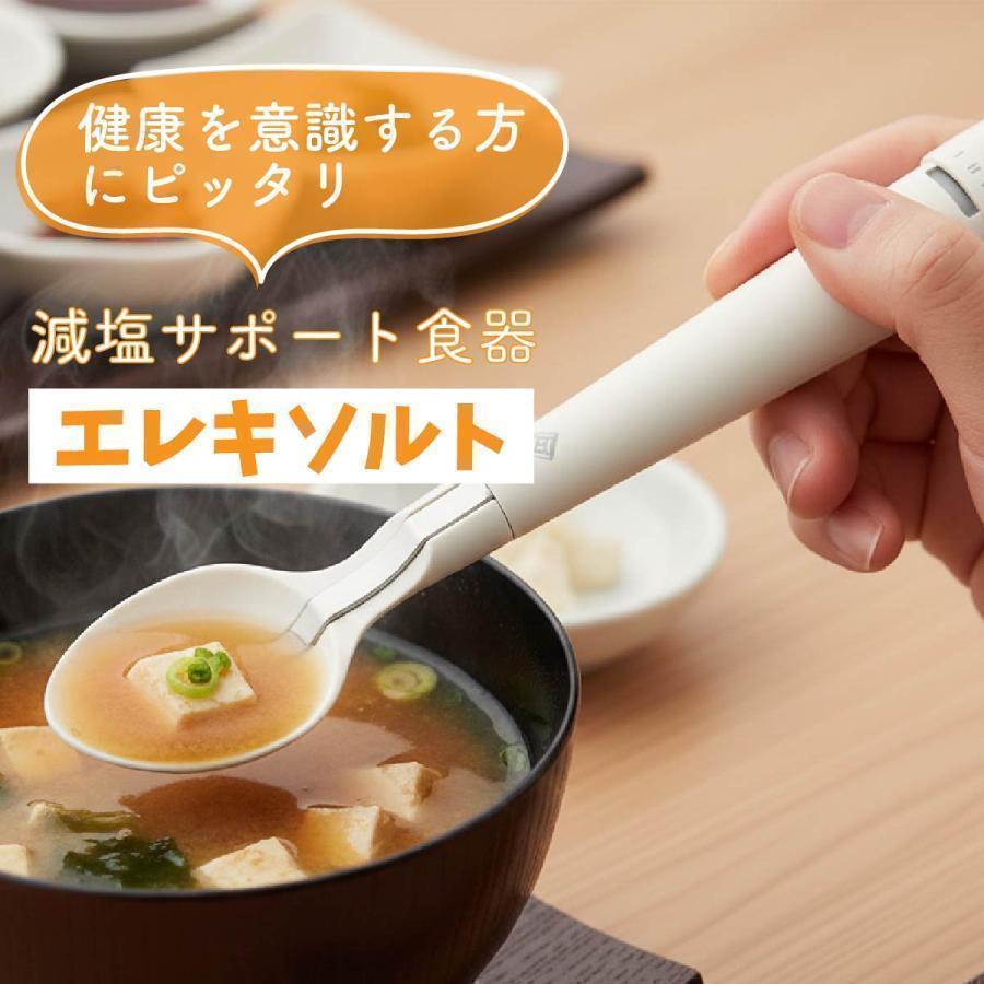 KIRIN キリン エレキソルトスプーン 減塩スプーン 電気の力で塩味