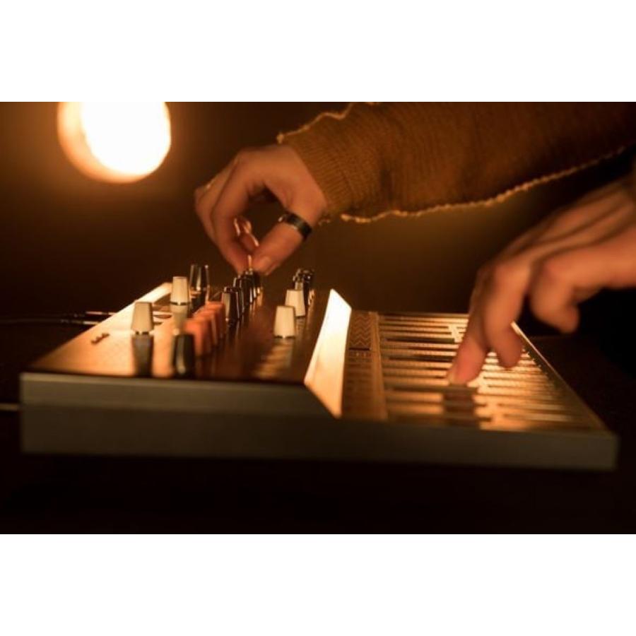 ARTURIA MICROFREAK ハイブリッドシンセサイザー : chuya-online