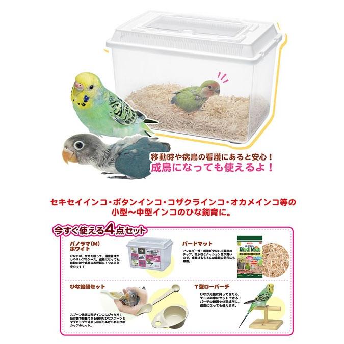 三晃商会 鳥籠 鳥 ケージ インコひな用 特製飼育セット （30×19