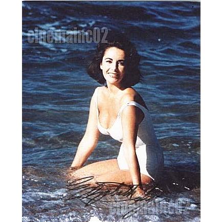 セール！エリザベス・テイラー直筆サイン入りブロマイド写真/海外