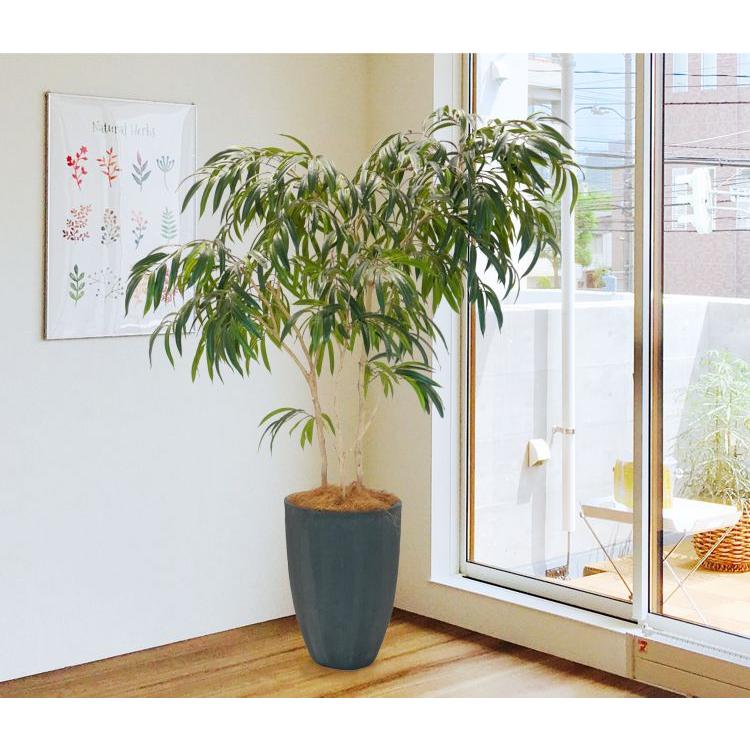 ショウナンゴムの木 180cm (ビンネンディキー 造花 インテリア 人工