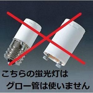 ライフルックHG（ホタルクス） Hotalux FLR40SEX-N/M/36-HG2 25本入 昼