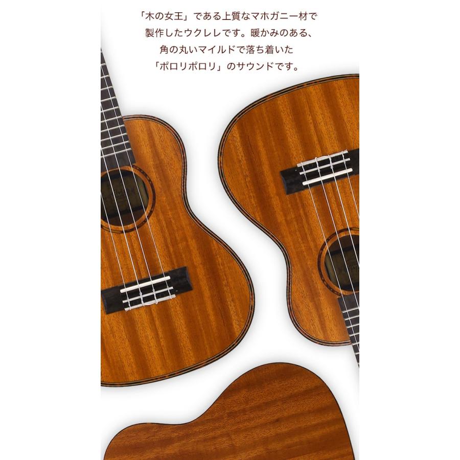 初心者セット8点！】ELVIS エルビス コンサートサイズ マホガニー材
