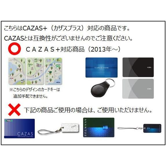 LIXIL（リクシル） Z-204-DVBA LIXIL トステム 玄関ドア カザスプラス