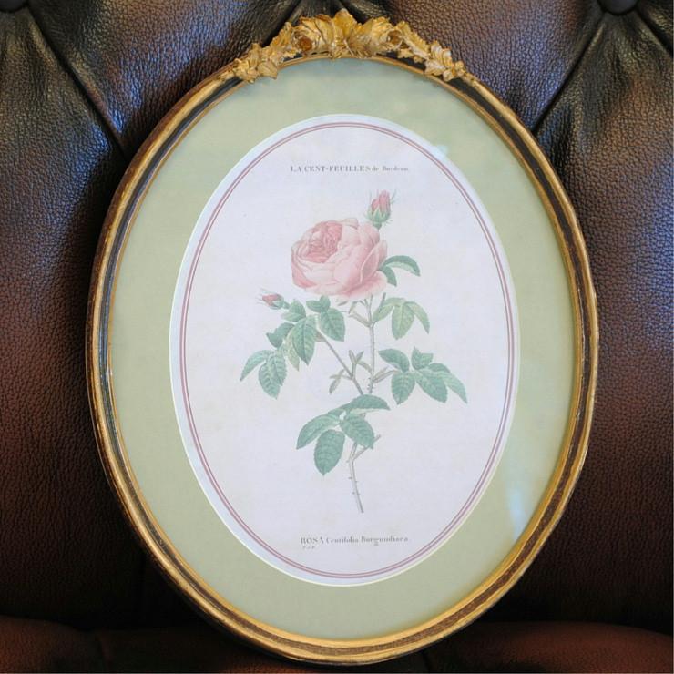 ルドゥーテ 薔薇の額絵 壁掛け 額縁 可愛い アンティーク風 バラ額