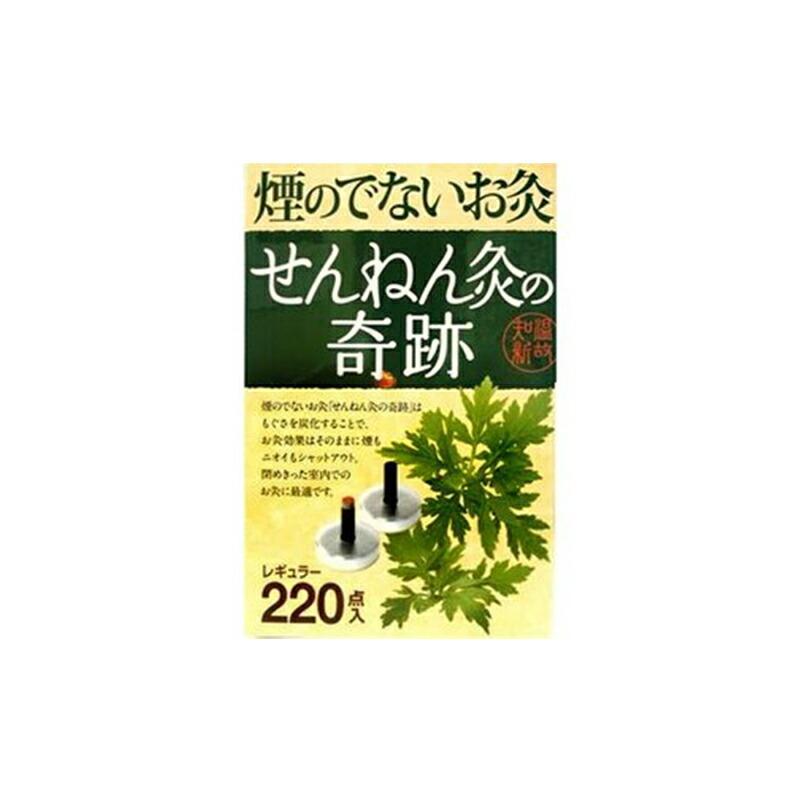 煙のでないお灸 せんねん灸の奇跡 レギュラー(220点入)【せんねん灸
