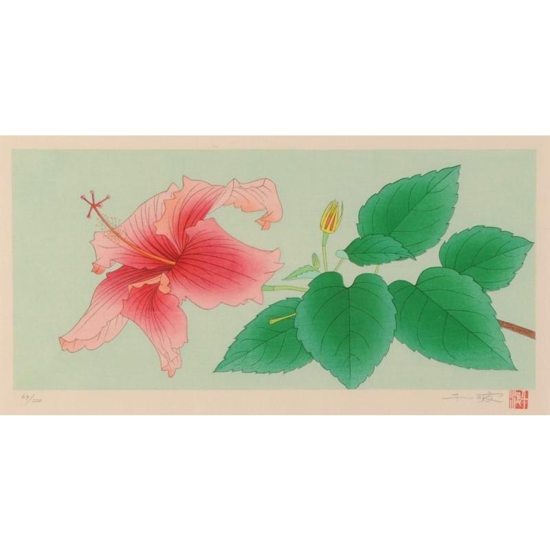 中島千波 ハイビスカス 花 絵画 木版画 日本画 額付き : アート