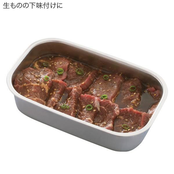 アサヒ軽金属 ＼ポイント10倍／ 保存容器 フードコンテナ ボックス 3個