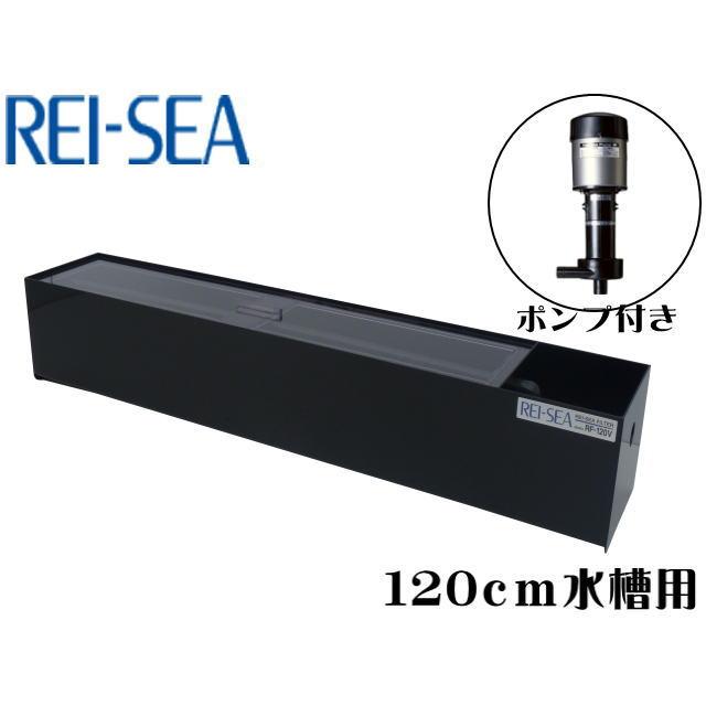 RF-120V + P-425V 上部フィルターポンプセット レイシー【メーカー直送