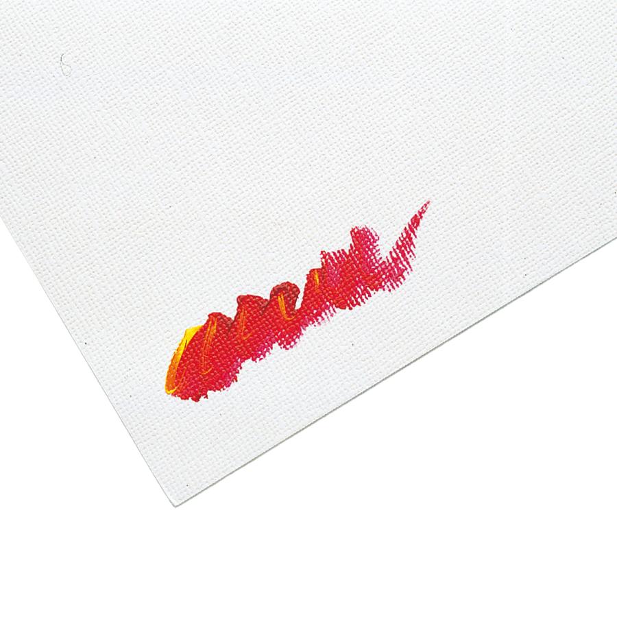 ORION キャンバスボード F4号 サイズ333×242mm 厚さ3mm 【 油絵 油絵用