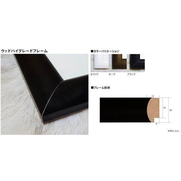 ポスター アート Abstract painting（ゲルハルト リヒター） 額装品