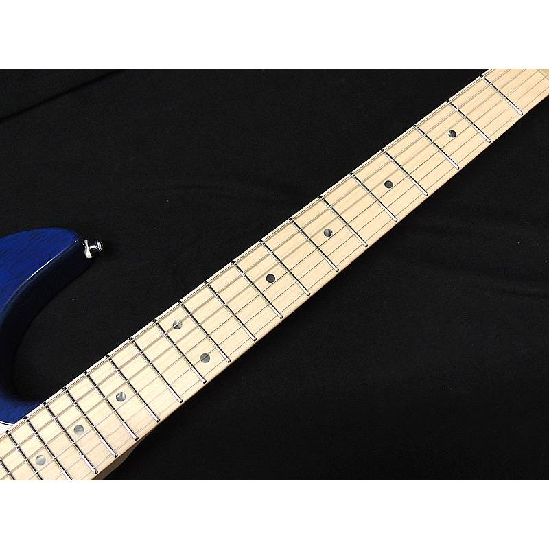 FUJIGEN（フジゲン） FGN FUJIGEN EOS-ASH-M SBB/06 Expert ODYSSEY