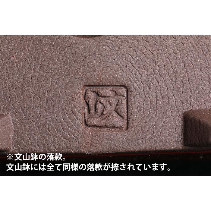 盆栽鉢 「瀬戸焼文山窯朱泥絵付鉢4点セット」 植木鉢 絵鉢 泥鉢 焼締 3