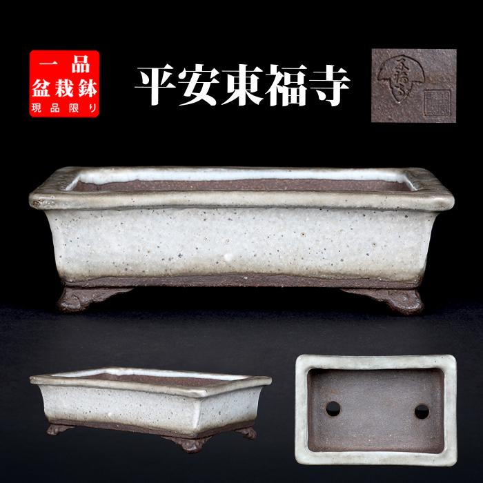 盆栽鉢 「東福寺白釉雲足長方鉢」 植木鉢 初代 平安東福寺 作家鉢 色鉢