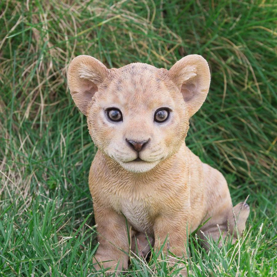 座っている ライオン の赤ちゃん ガーデン彫像 動物 置物 ガーデニング