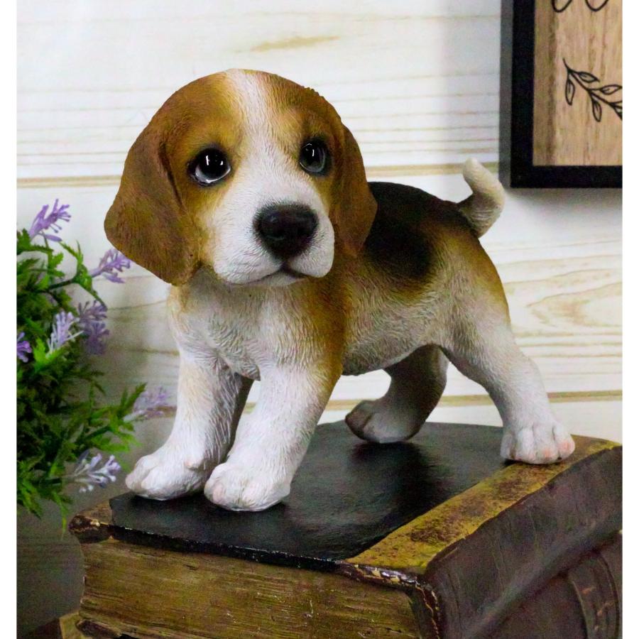 置物 彫像 ビーグル 犬 子犬 いぬ イヌ ガーデン 庭 オブジェ