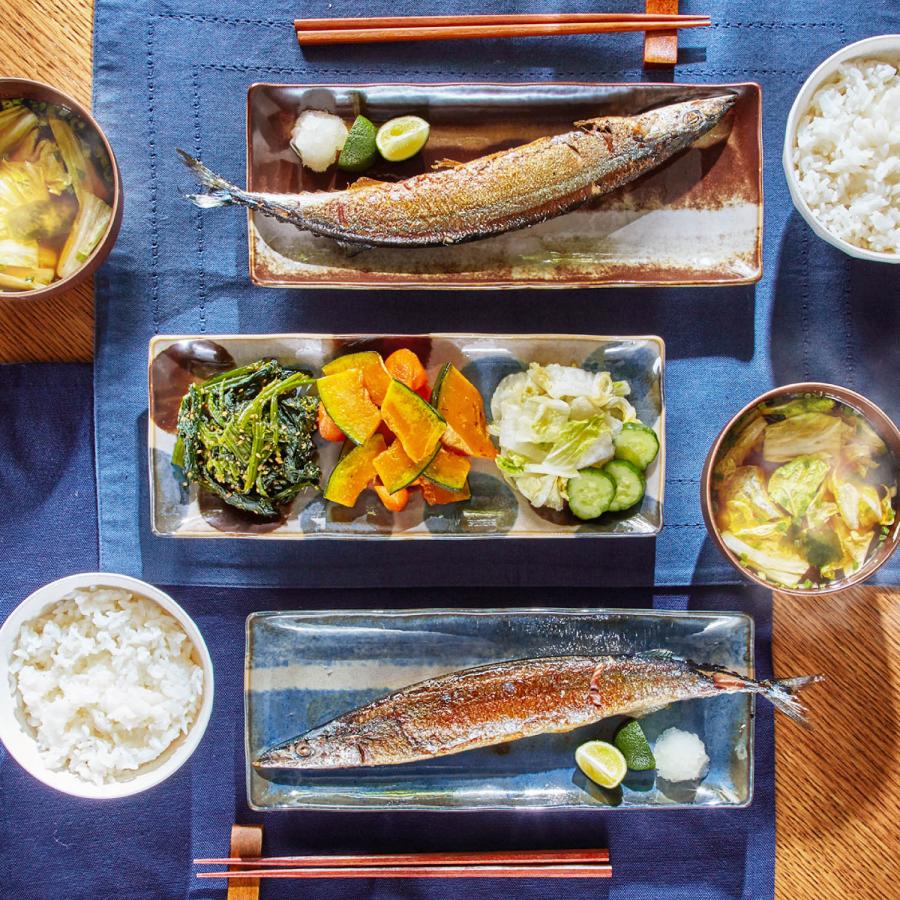 食器 皿 長方形 四角 5柄 セット テーブルウェア 美濃焼 電子レンジ