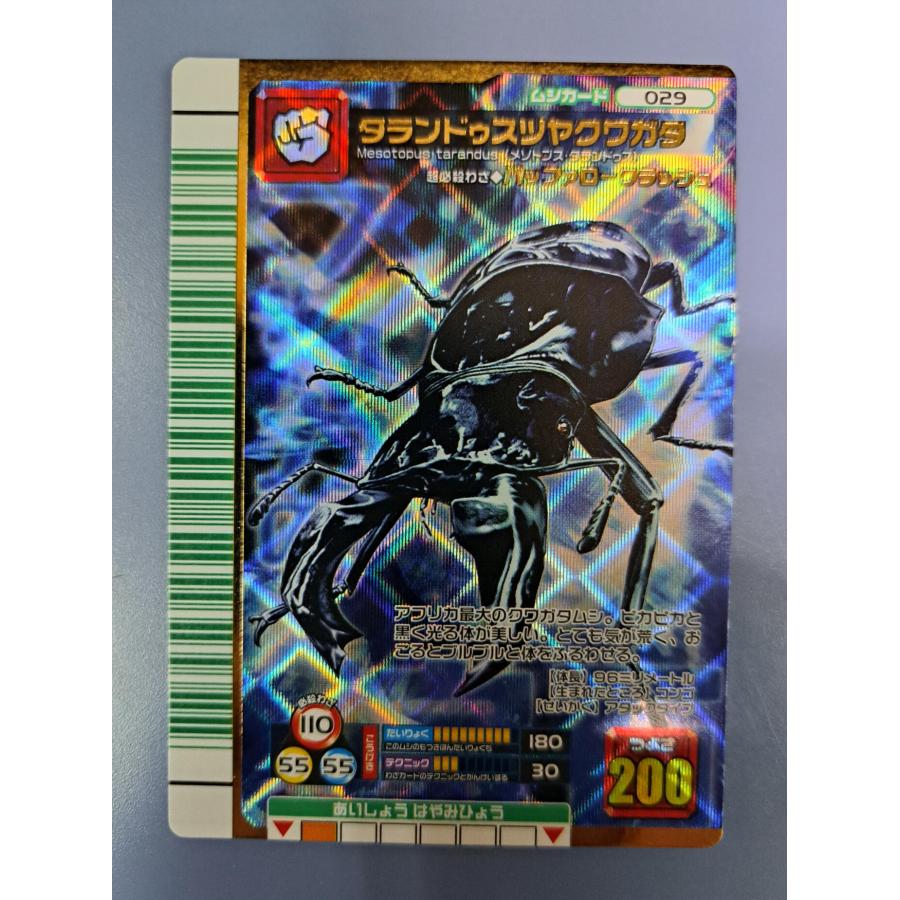 タランドゥスツヤクワガタ 2007ファースト 029 ムシキング : B-button
