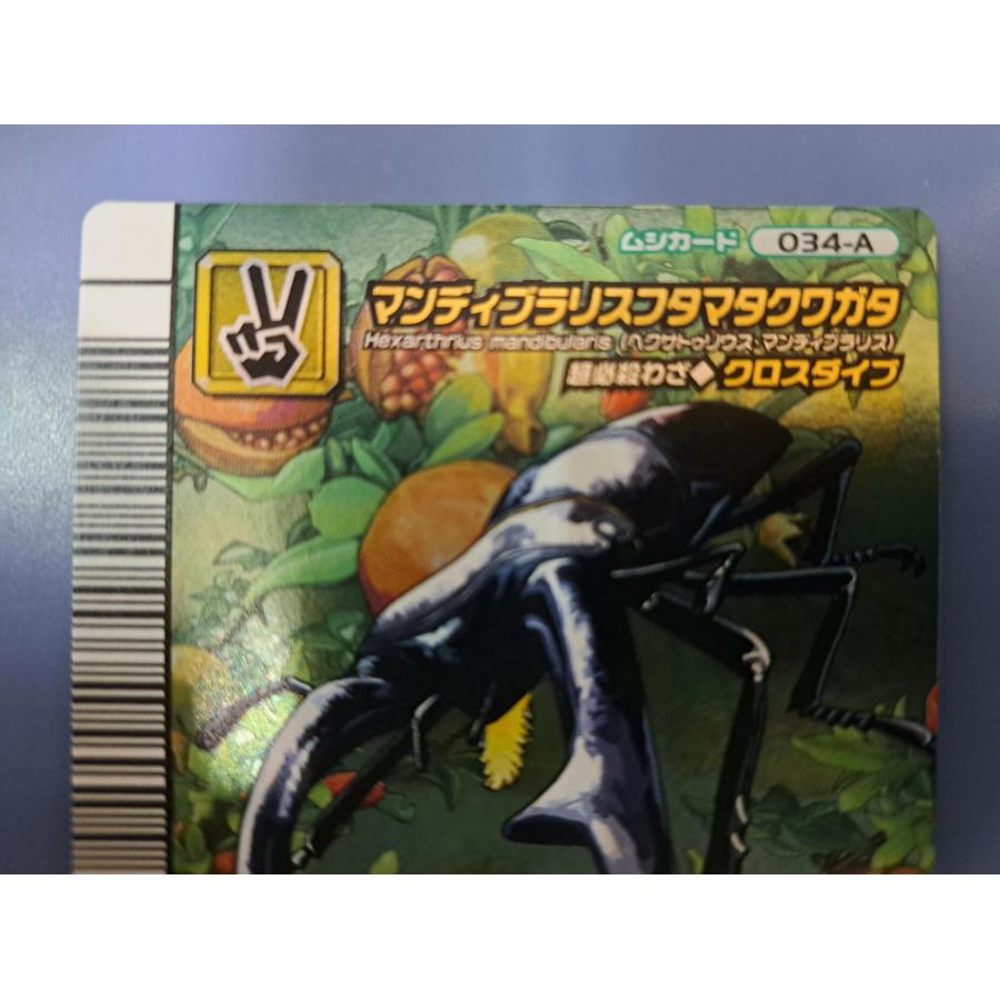 マンディブラリスフタマタクワガタ 5周年コレクションカード第2弾 034