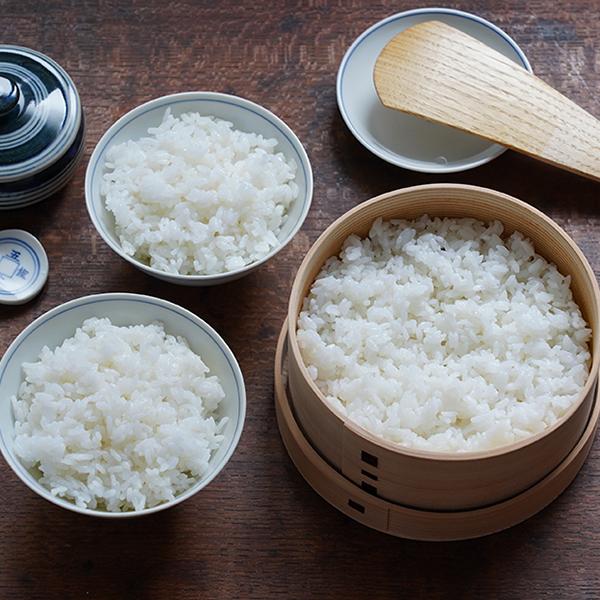 曲げわっぱ ミニおひつ（大） りょうび庵 おひつ お櫃 白木 無塗装