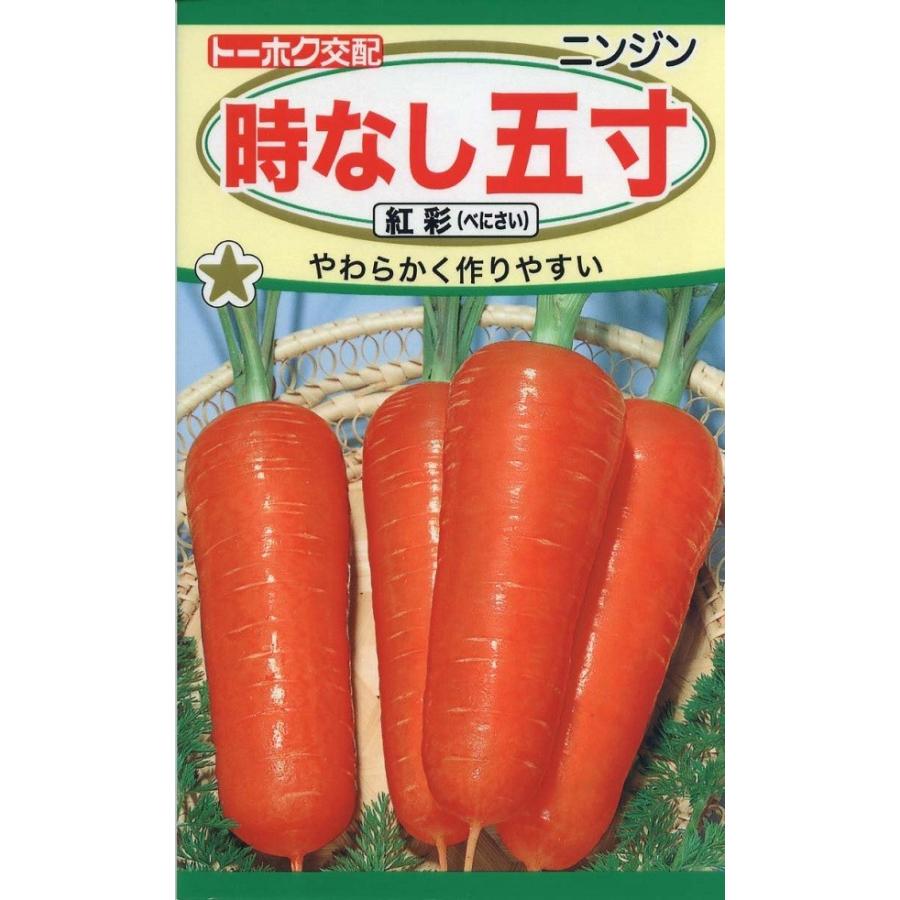 野菜種子 ニンジン 時なし五寸人参 紅彩（べにさい） トーホクのタネ