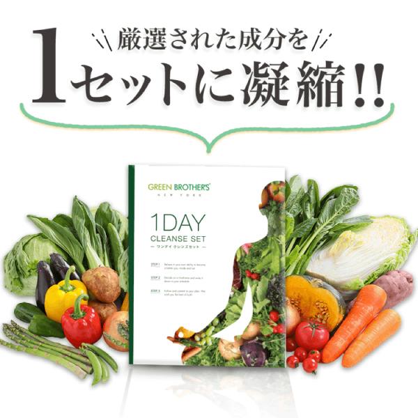 公式】☆3個セット☆GB 1DAY CLEANSE SET（ワンデイクレンズセット